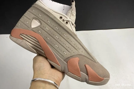 828 Sleek Low DC9857- 3303 Jordan 14 Air x CLOT 0729
